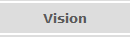 Vision